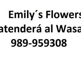 Florería Emily’s Flowers